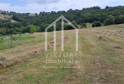 Teren extravilan de vanzare 15,600 mp zona loc... Hamba - 3
