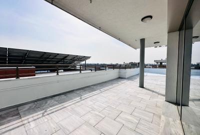 INCHIRIERE vila Baneasa || ponton privat || piscina naturala - 27