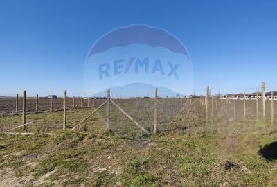 Teren intravilan de vanzare 2.500mp Lazu  Strada Olarilor Constanta - 5
