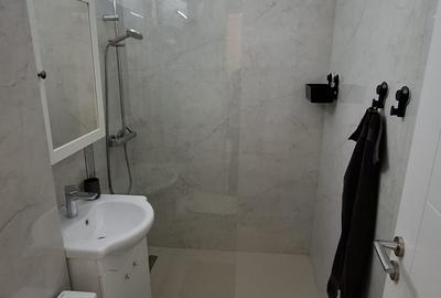 LUX, mobilat si utilat MODERN,langa CN Iulia Hasedeu, BOILER, REABILITAT TERMIC - 14
