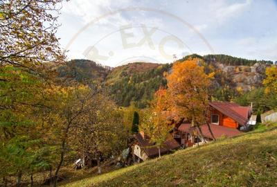 VANZARE / SCHIMB  PENSIUNE in zona de munte, langa Pestera Muierilor - 6