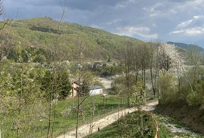 Teren vedere panoramică lac Paltinu si dealuri împădurite in Valea Doftanei - 11