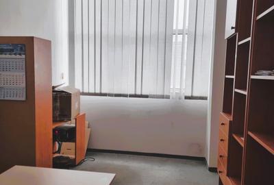 Spatiu industrial Dristor - Kaufland Mihai Bravu - 10