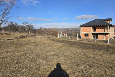 Teren de 10.100 mp, zona de case, in Valea Chintaului - 4