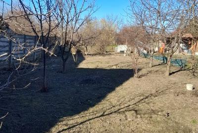 Teren casă / duplex Mehala Ronat 937 mp – acces rapid oraș - 4