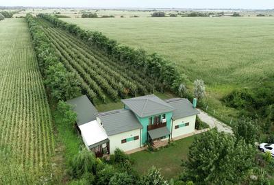 Vila + Afacere 15.000mp Clinceni - 3