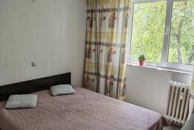 Apartament 2 camere decomandat Raul Doamnei, Drumul Taberei - 4