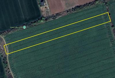 Teren agricol extravilan de 10000 mp, în Căciulați