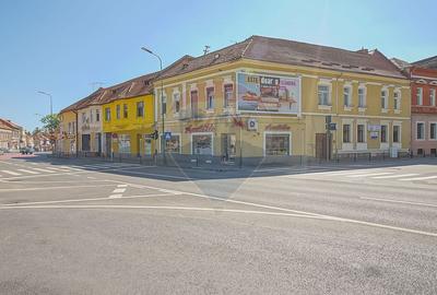 Studio modern in Centrul Istoric | Teatrul Dramatic - 1