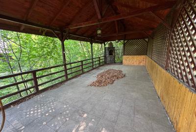 Sinaia Strada Cerbului - 44