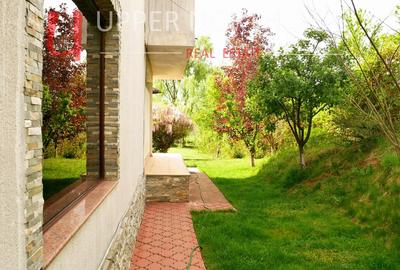 Mansion Luxuriant | Piscina Interioara | Teren tenis | 2500 mp gradina superba - 11