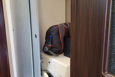Dristor, garsoniera langa Kaufland, 5 minute metrou, PET FRIENDLY - 7