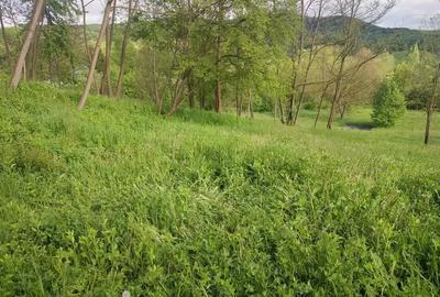 TEREN DE VANZARE IN ZONA DE DEAL  | SULTANU | VISINESTI - 6