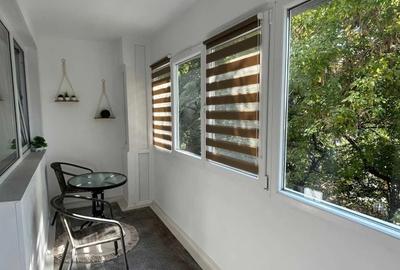 2 camere Gorjului - Apusului *Boiler* - 8