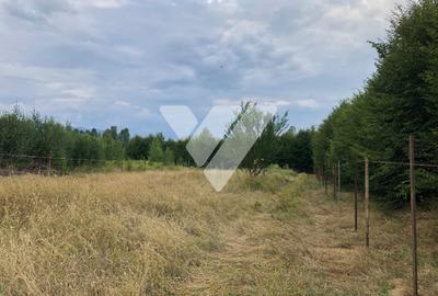 Teren Intravilan  – Valea Avrigului, 2000 mp - 2
