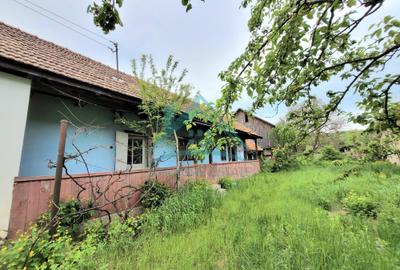 Exclusivitate! De vanzare casa cu 3 camere si teren de 1500mp, la Vlaha! - 3