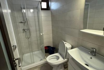 Casa individuala de inchiriat - Stefan cel Mare / Tei | 2 Locuri de parcare - 5