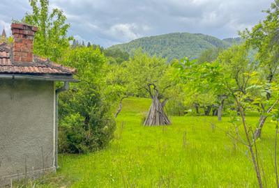 Teren 1500mp, intravilan cu utilitati, in proximitatea complexului Vila Bran - 14