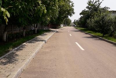 Vând grădină în Tg.Frumos - 1