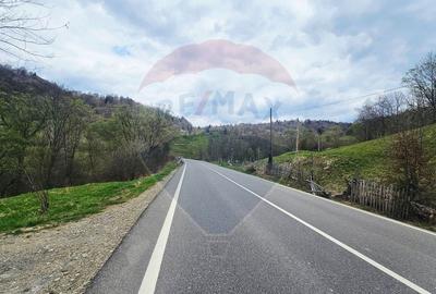 Teren cu vedere deosebita - 6
