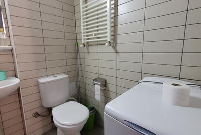 Inchiriere 2 camere Colentia Rose Garden + parcare si boxa - 14