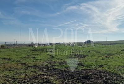 Teren extravilan agricol de vanzare in Iris, Cluj Napoca - 7