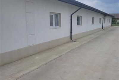 Hala de productie 370 mp renovata de inchiriat – Valea Seaca, la 10 minute de or - 5