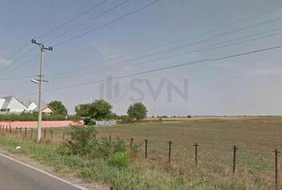 REL4001297 Teren Intravilan - Dascalu - Gagu - 1