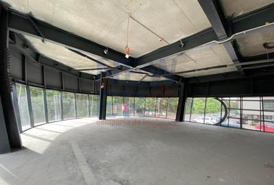 Spatiu Comercial 590 mp Bulevardul Pipera - 2