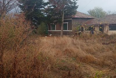 Teren intravilan(tot)curs constructii,Radovanu,CL - 2