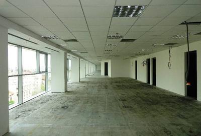 Europe House, Victoriei, 273 mp  0% comision! - 2