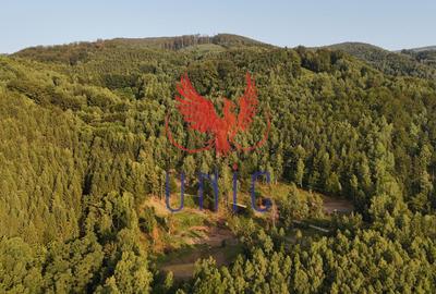 18000 mp de natura pura ,Lupeni, langa Straja - 22