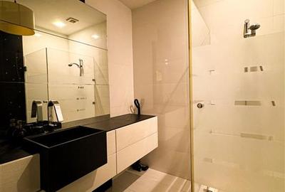 Apartament 2 camere de inchiriat Herastrau Nordului - 16