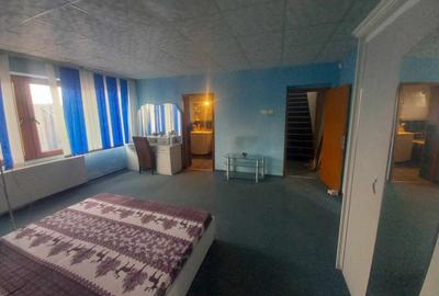 Casa de vanzare la 5 min de Centru cu trei nivele (D+P+1) si teren de 4300mp - 21