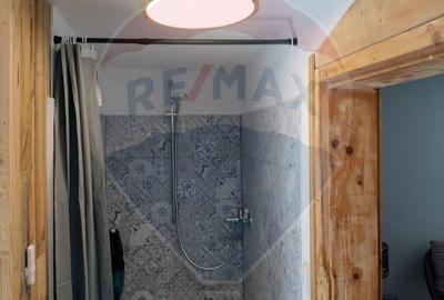 Casă de vacanță deosebită cu ciubăr si saună - natura si relaxare - 37