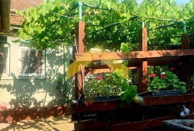 Casa la sol de vanzare Timisoara, zona Mehala - 1