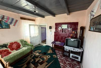 Casa noua + casa renovata in Cucorani - 10