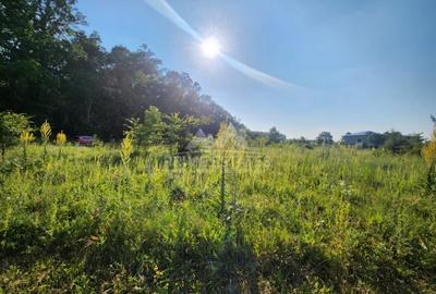 Oportunitate achizitie 2000 mp de teren intravilan - Sector 1 Greenfield - 1