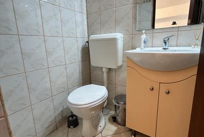 Inchiriere 3 Camere Vedere Piață Alba-Iulia - 18