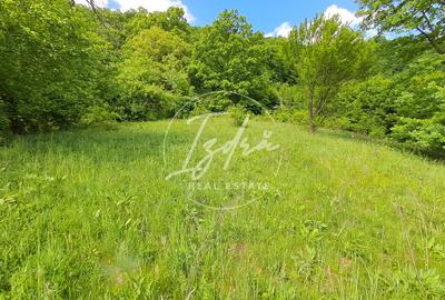 Teren de vanzare in Vii,  Podul Olt - 1