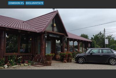 Pensiune cu lac privat și piscină – afacere la cheie în Neamț - 1