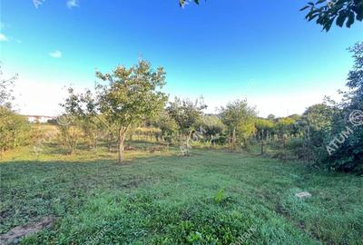 Casa individuala 4 camere 2 bai teren 1310 mp zona Gusterita Sibiu - 32