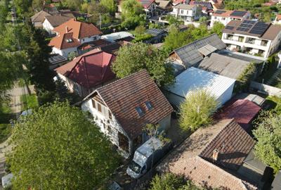 Hala Industriala - Productie / Depozitare 680 mp - Calea Urseni (Timisoara) - 3