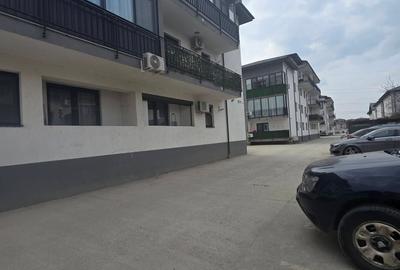 Apartament 2 Camere Strada Stejarului  Fundeni Dobroești - 20