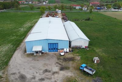 Hala Industriala de vanzare, 1800 mp la E60 la 5 km de Alesd, Bihor - 4