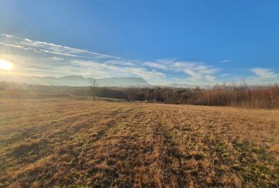 Teren intravilan Bran – Sohodol zona de case - 8