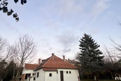 Birou, 250 mp în Central