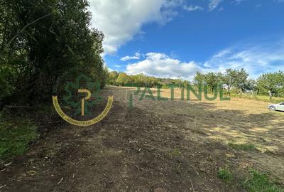 Teren intravilan de vanzare 960 mp Cisnadioara, Sibiu - 14