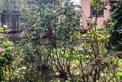 Casă central în Vadu Pașii, deschidere la 2 străzi, garaj, anexe, grădină - 1