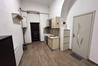 Apartament 1 camera central de inchiriat - 6